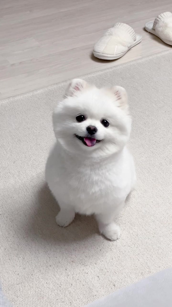 @권하리