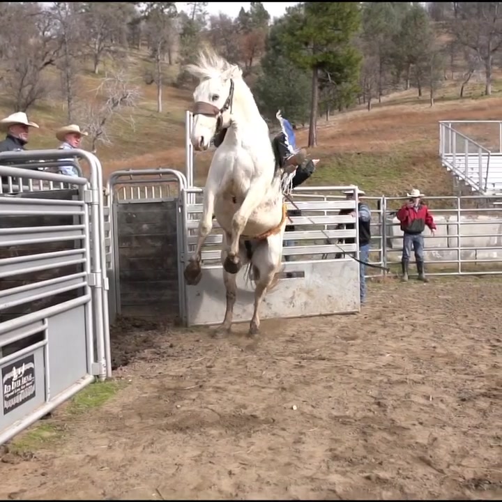 @VeaterRanch