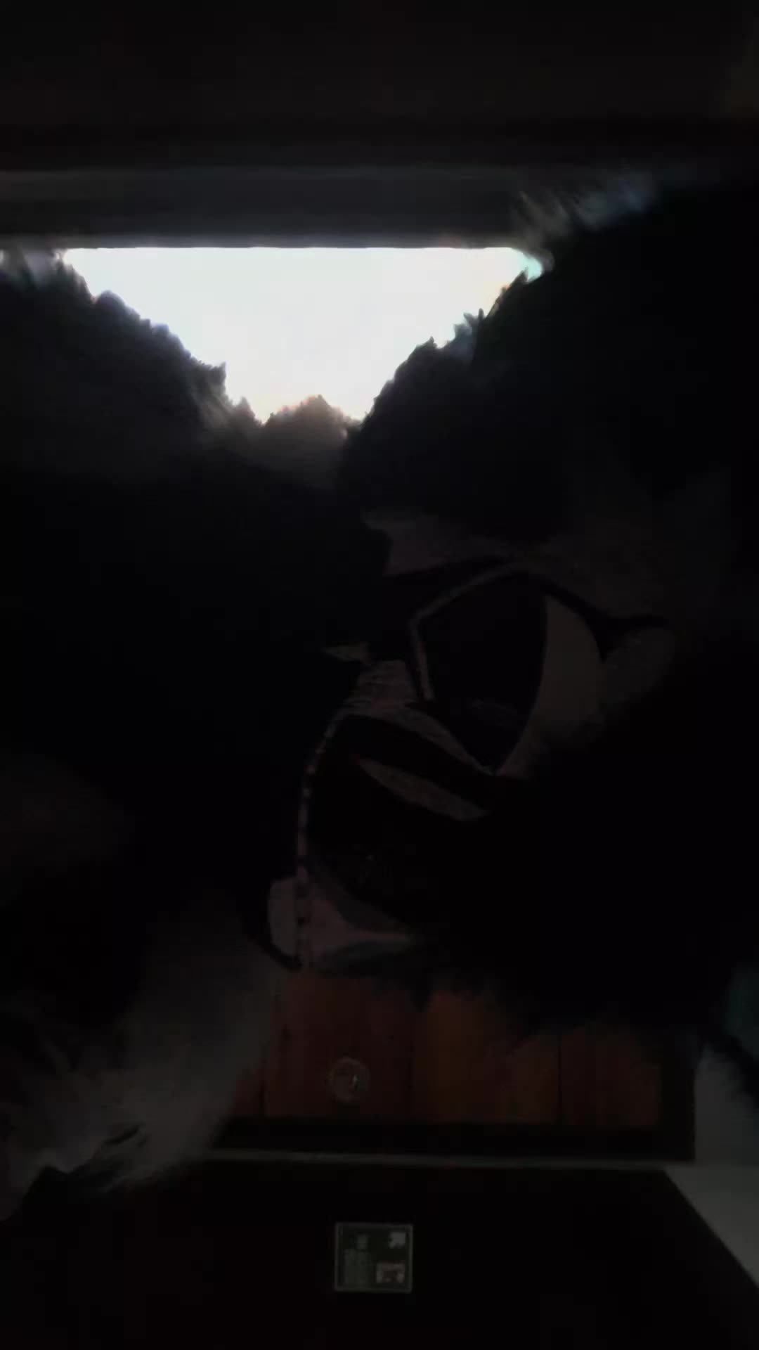 @𝔛𝔢𝔫𝔞⋆♱