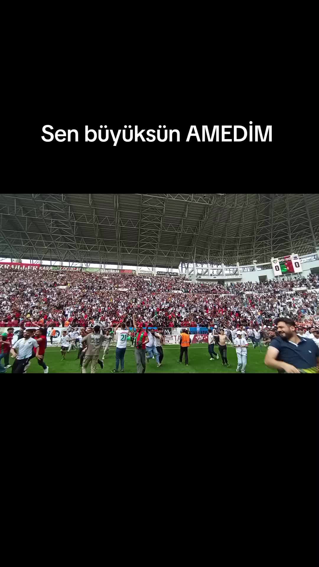 @Seyf,_