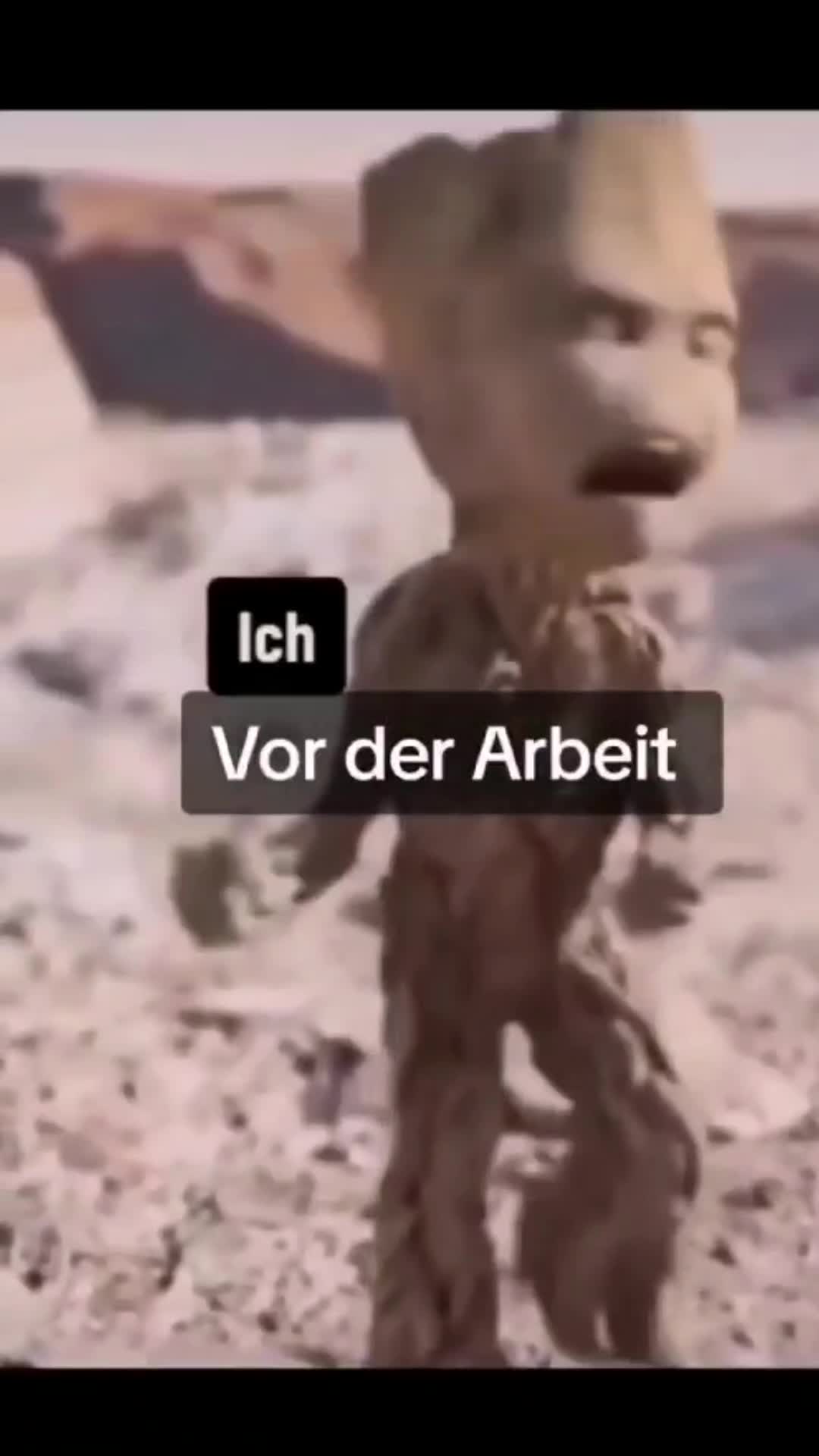 @Funny.World 2026