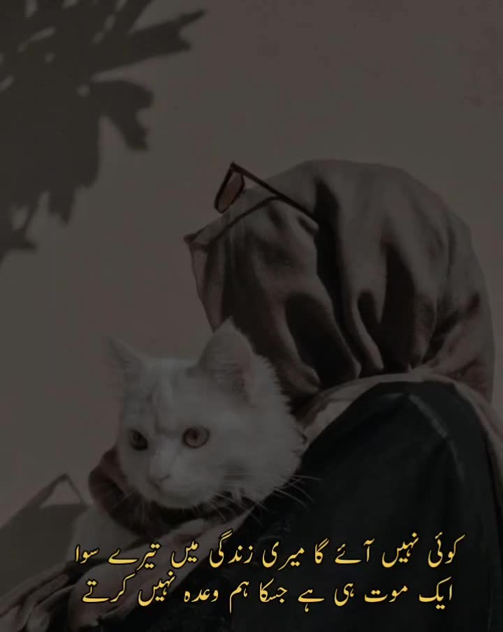@𝓑𝓻𝓸𝓴𝓮𝓷 𝓗𝓮𝓪𝓻𝓽♡