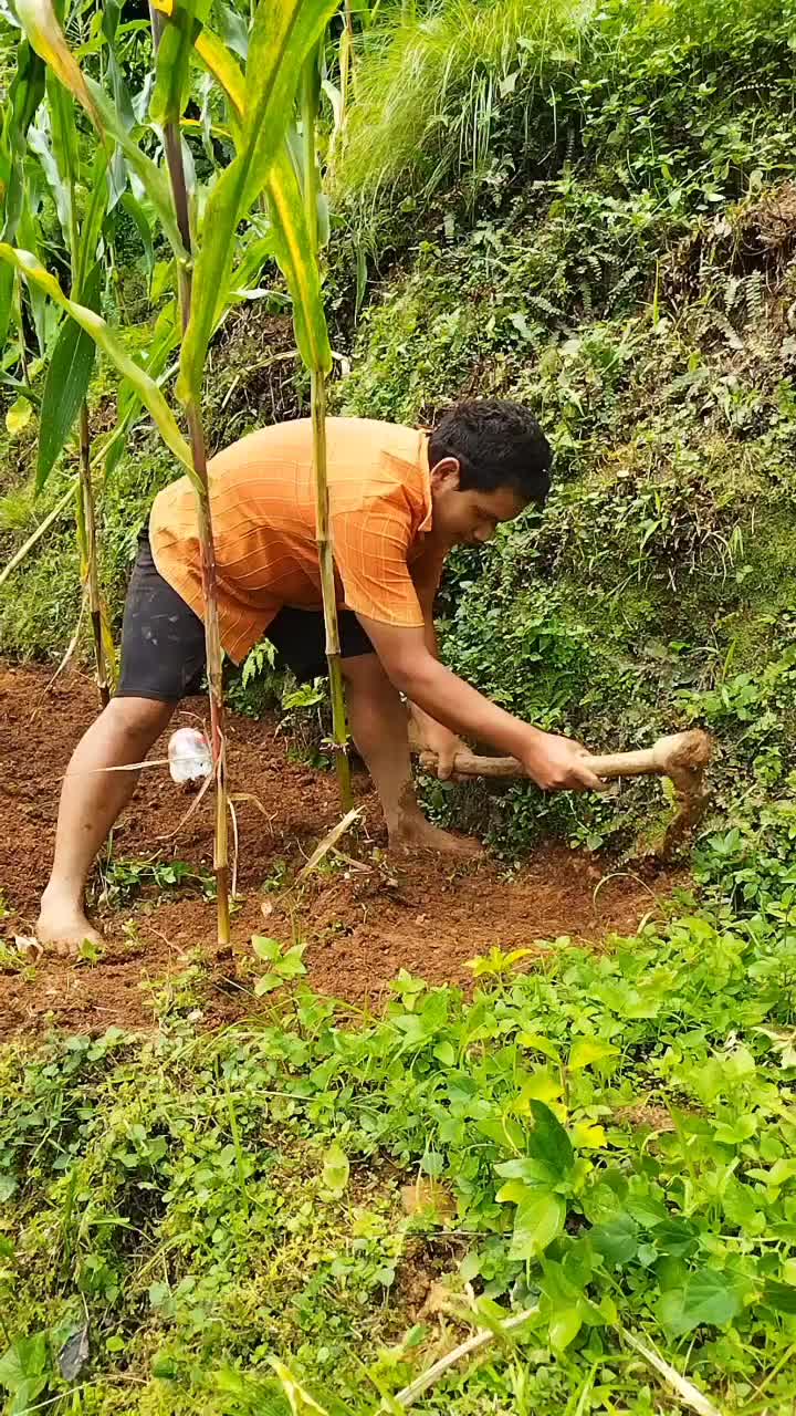 @amanjungthapa73