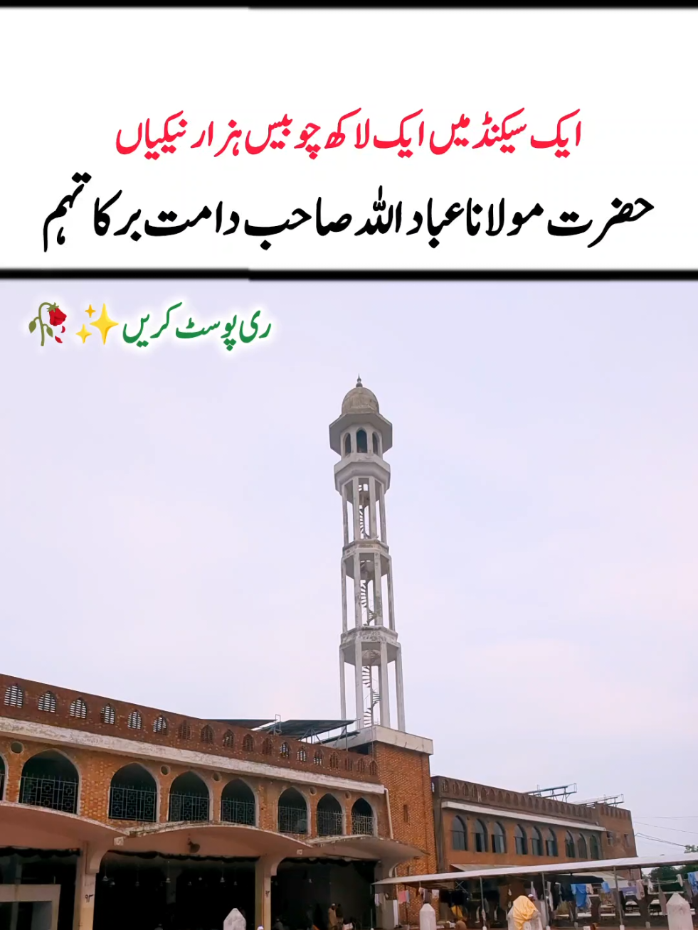 @Salman Ummati®