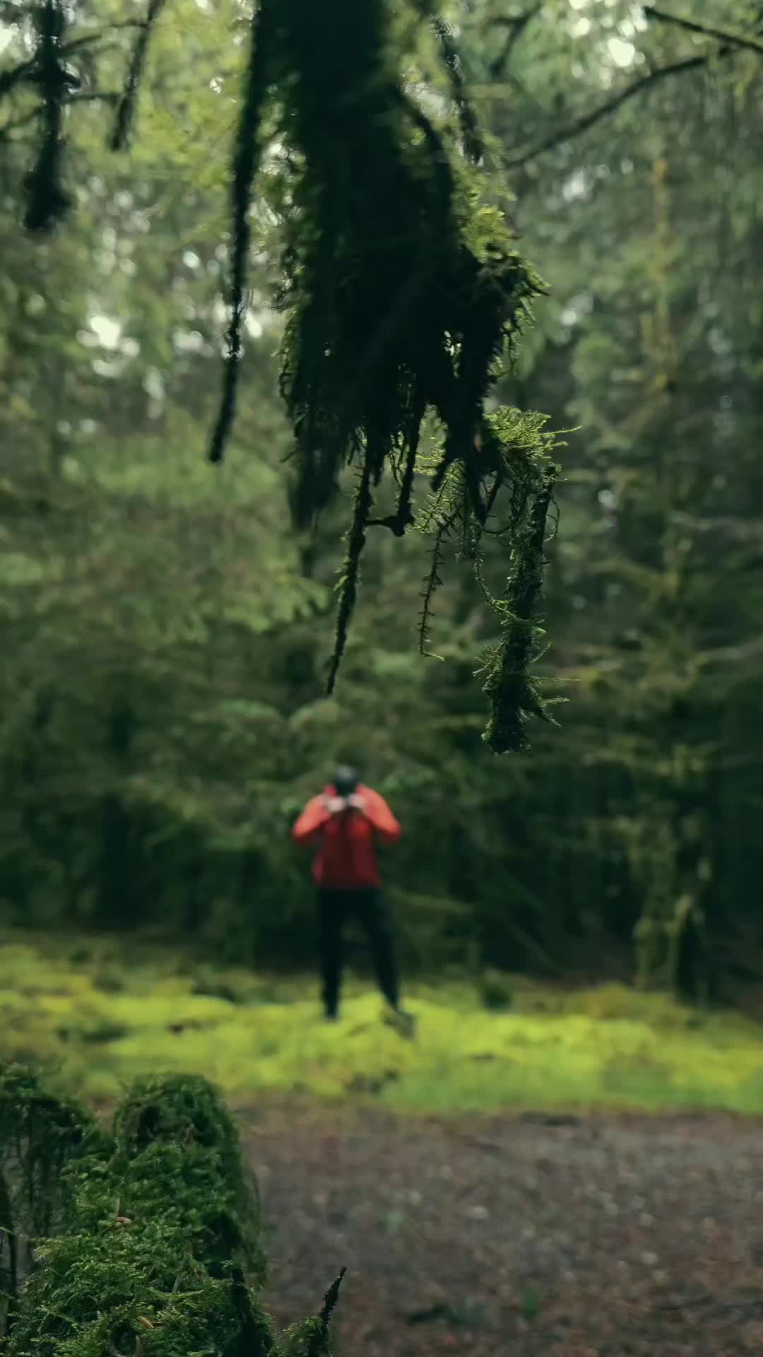 @ᛑᛗᛛ jamie_in_the_wild_ᛑᛗᛛ