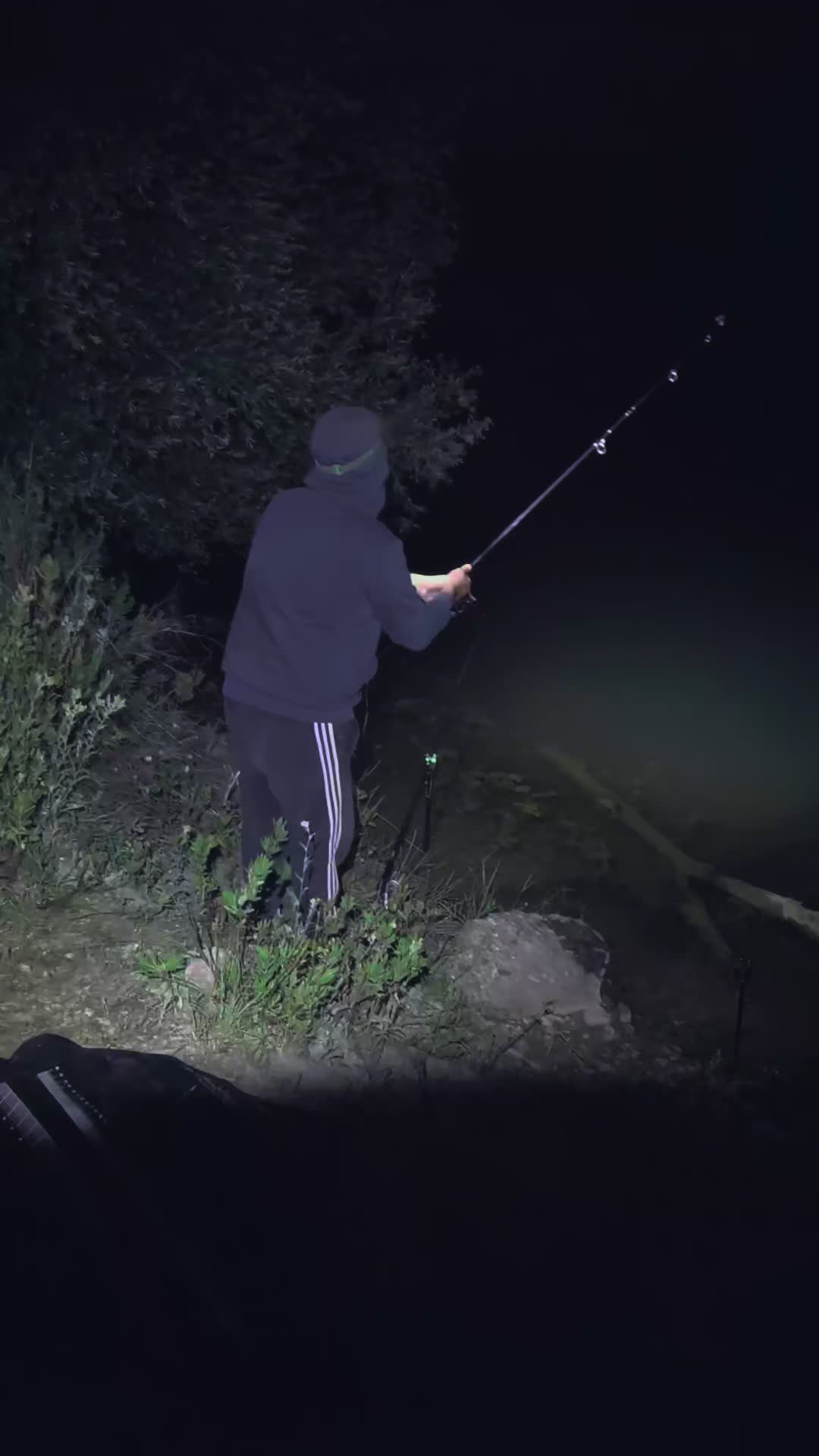 @perfect-fishing