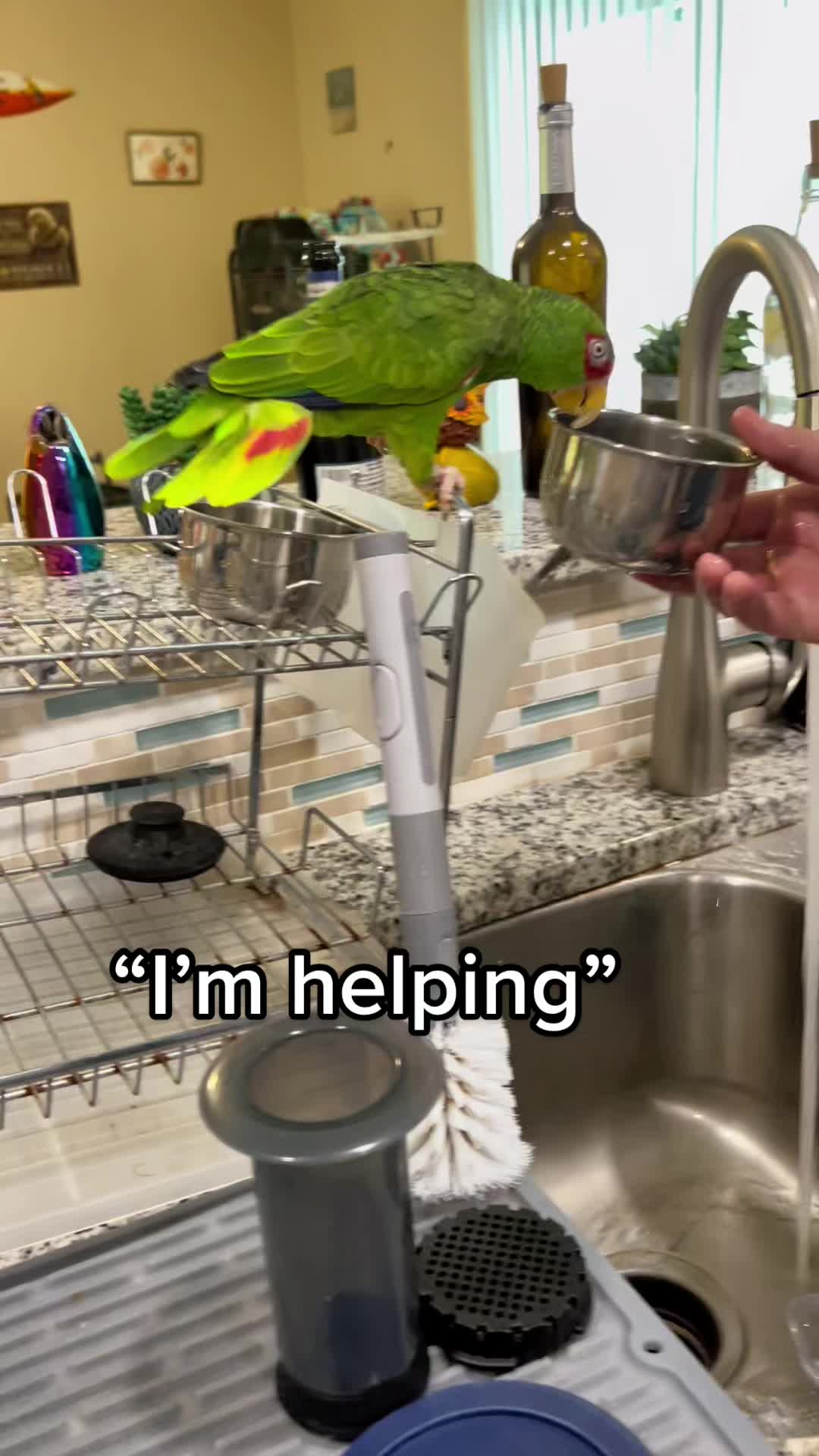 @Peeps