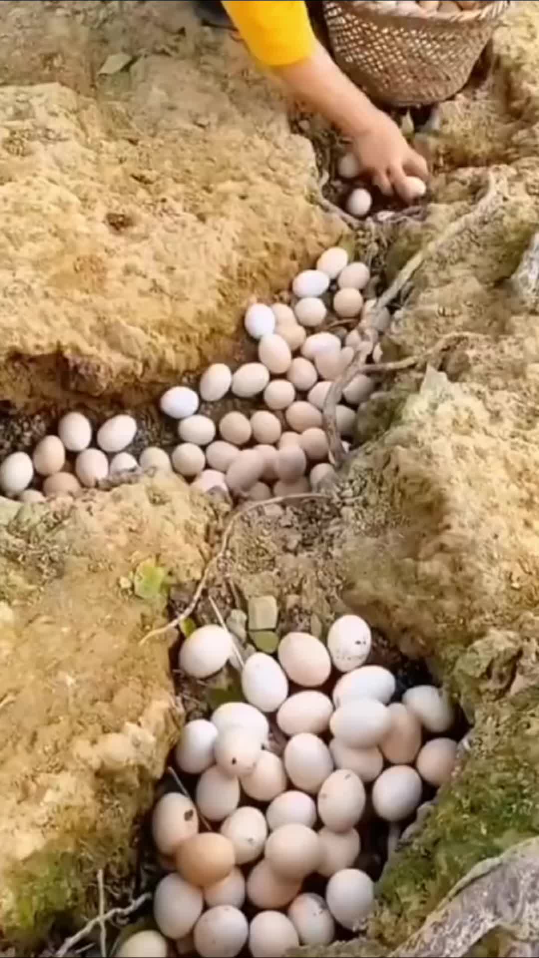 @rural.life97