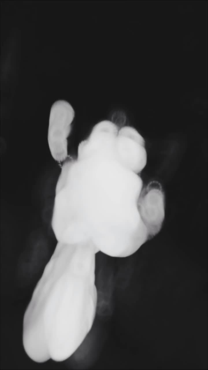 @꧁༒𝕴𝖆𝖒𝕭𝖗𝖞𝕰𝖑𝖎༒꧂