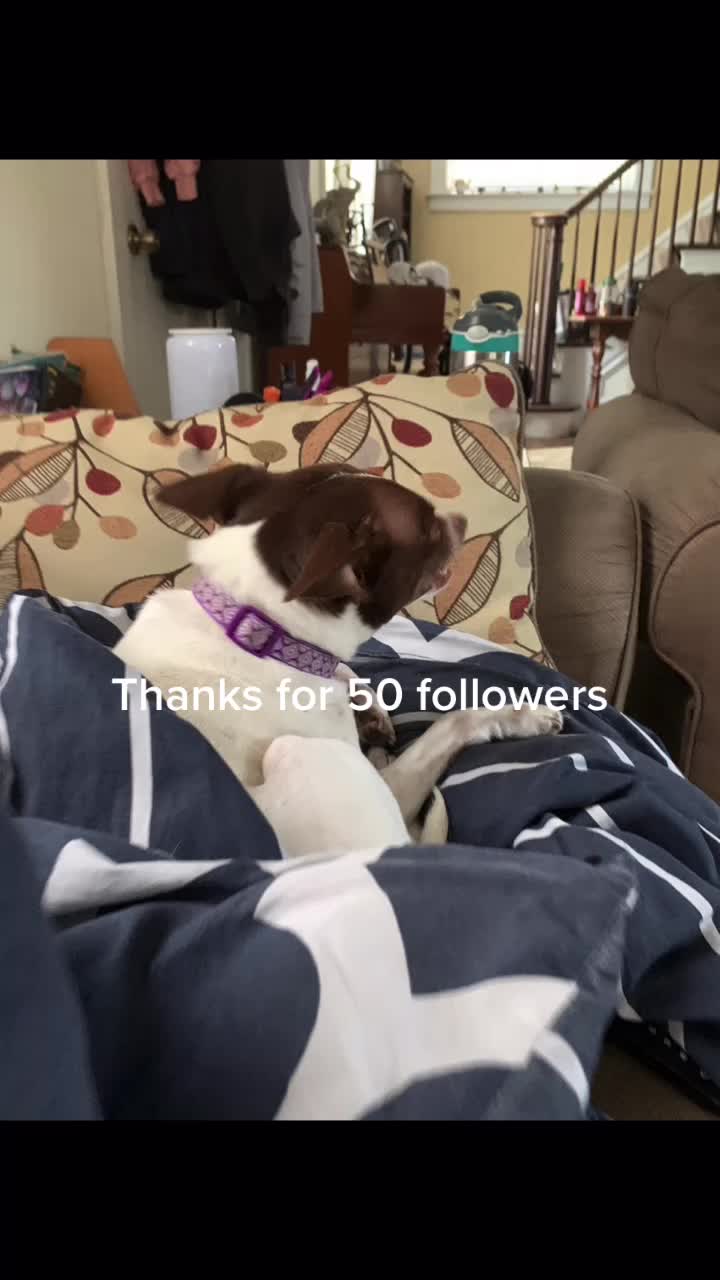 @DOGMasterHarley