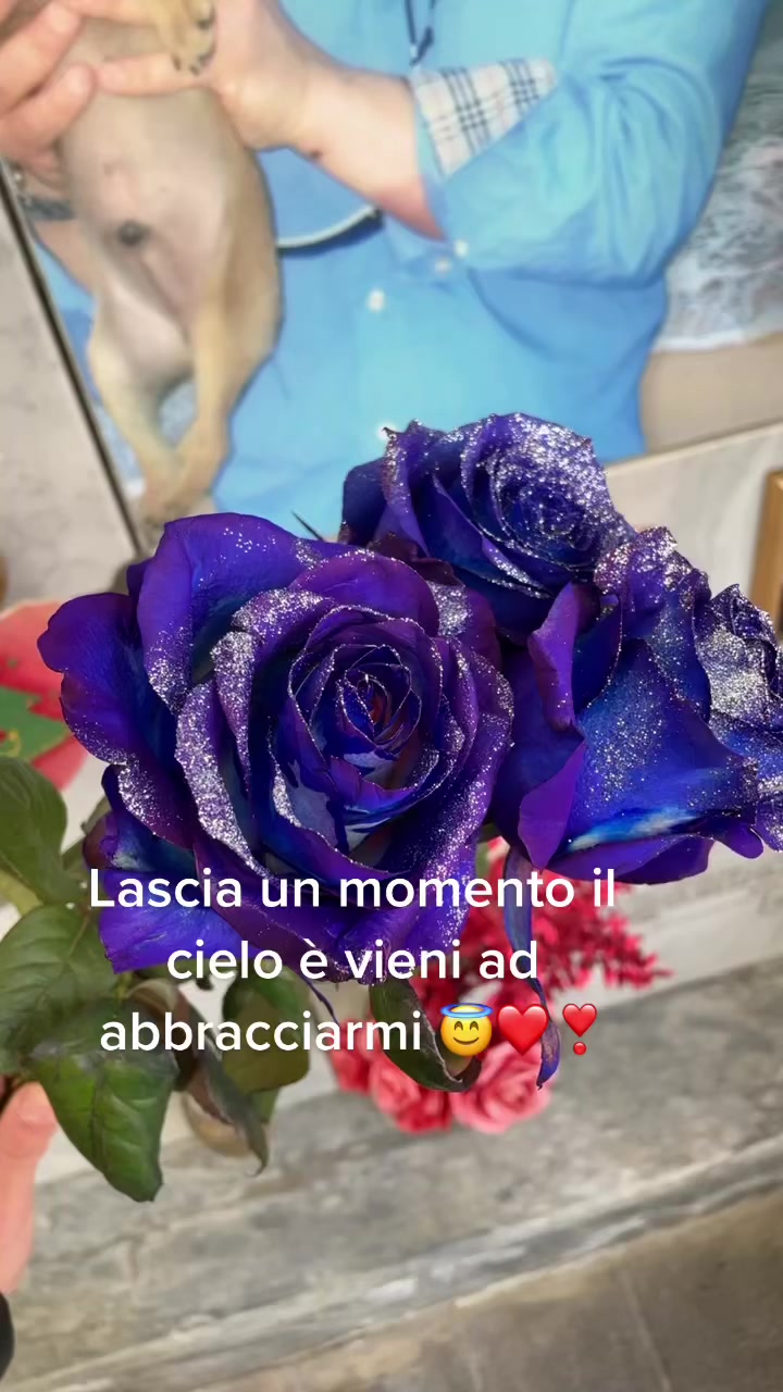 @luanalicata__