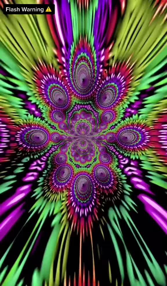 @zootedcontent