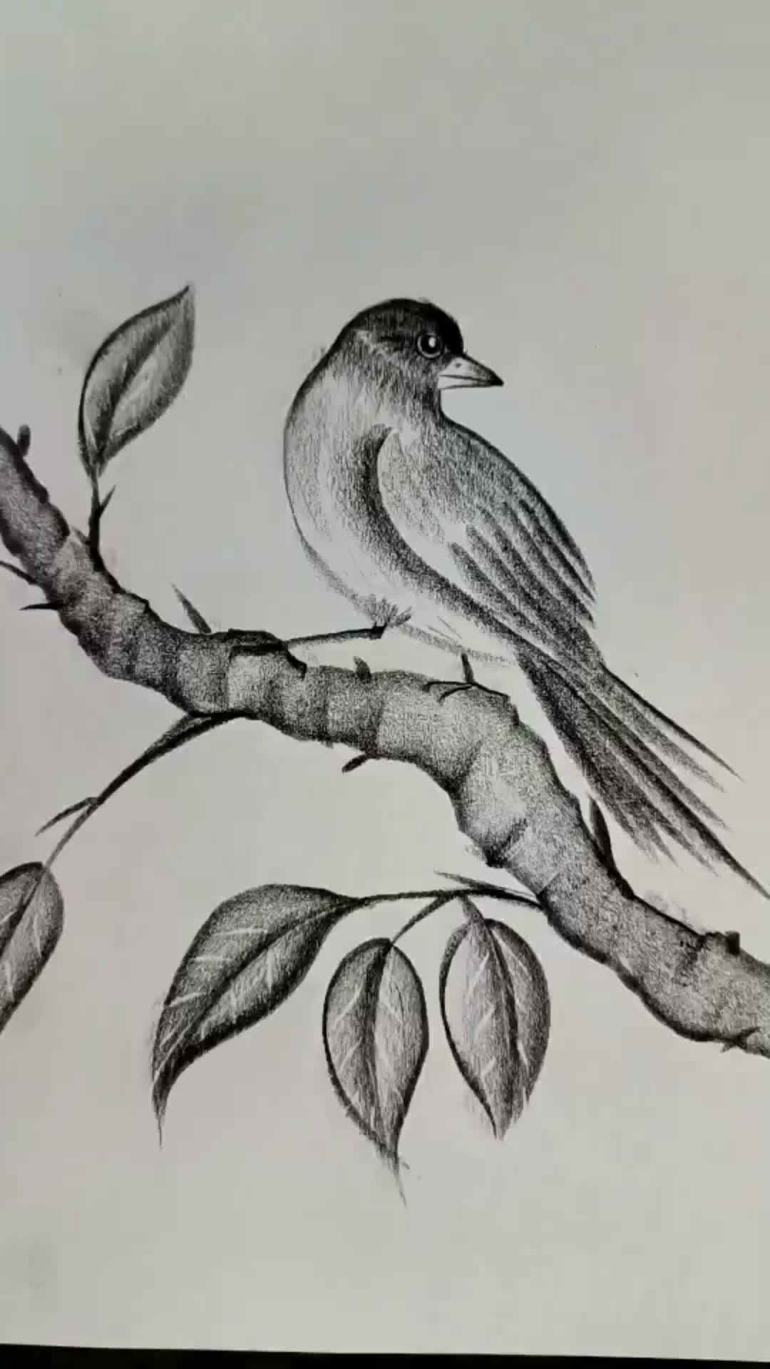 @blanche3121