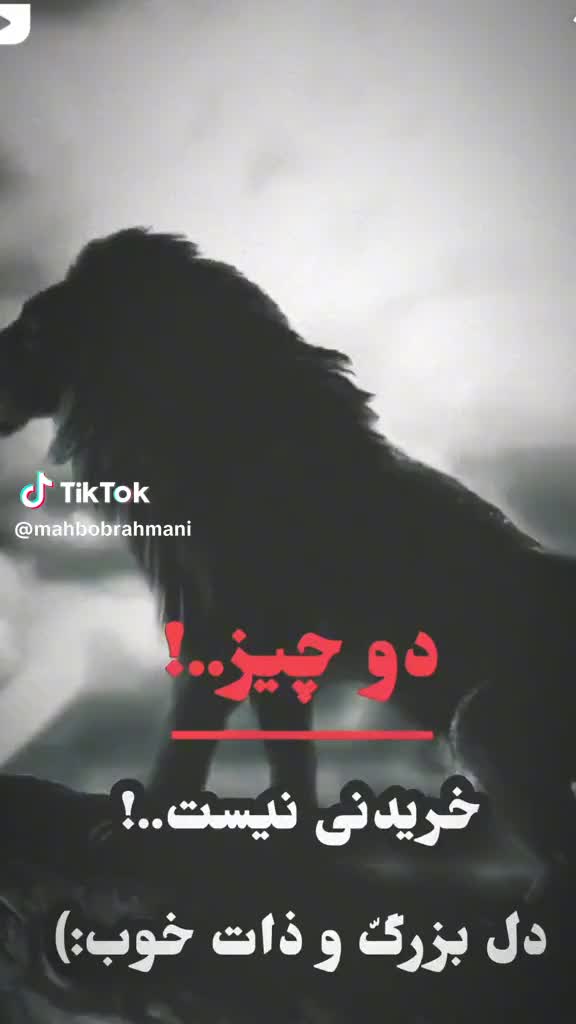 @samiullahahmadi295