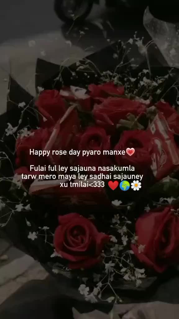 @user5495300454998