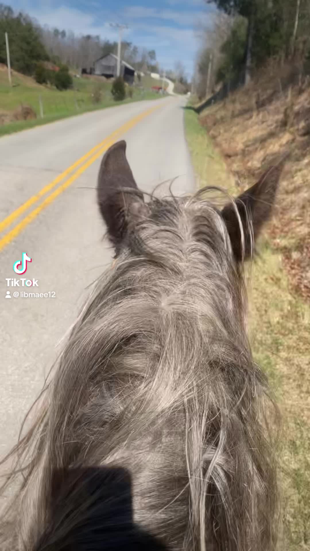 @Mane Stream Stables