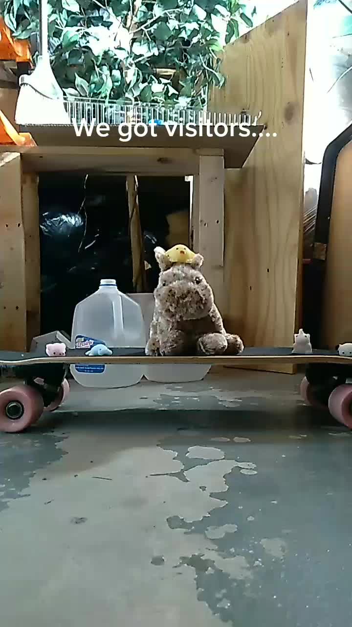 @gtg057