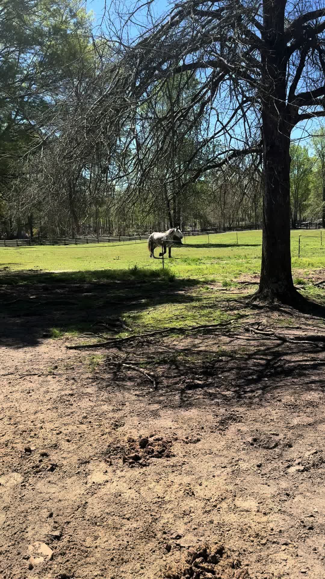 @southerncharmcarriages