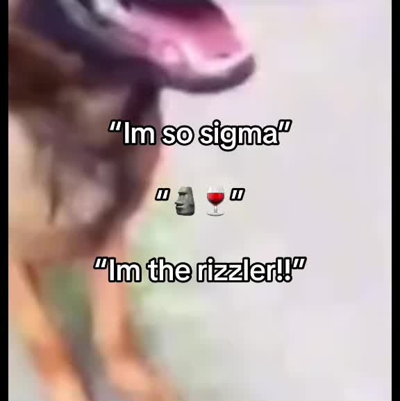 @tacoeater290