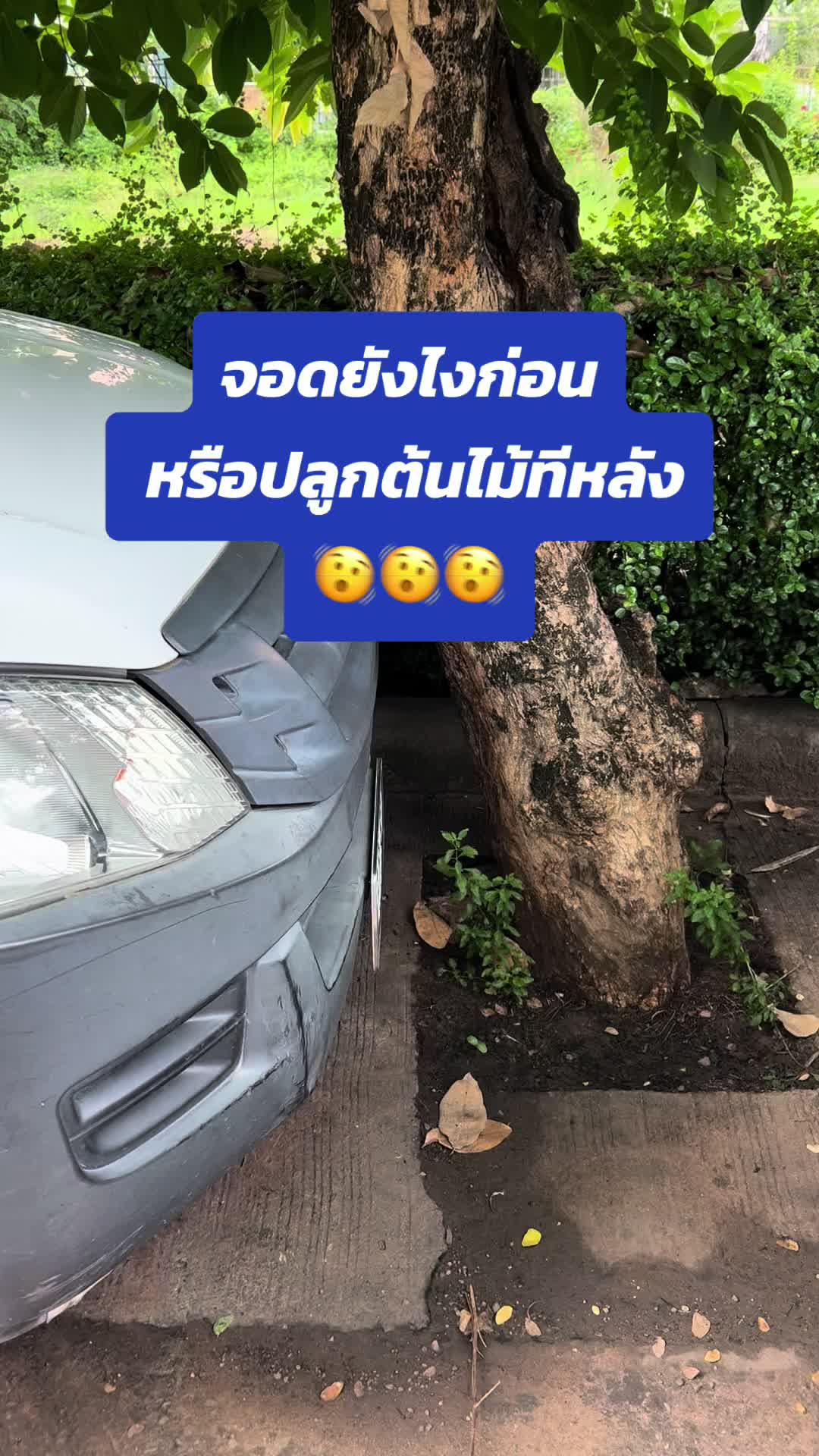 @DJ มาเคียว『𝙇𝙈』