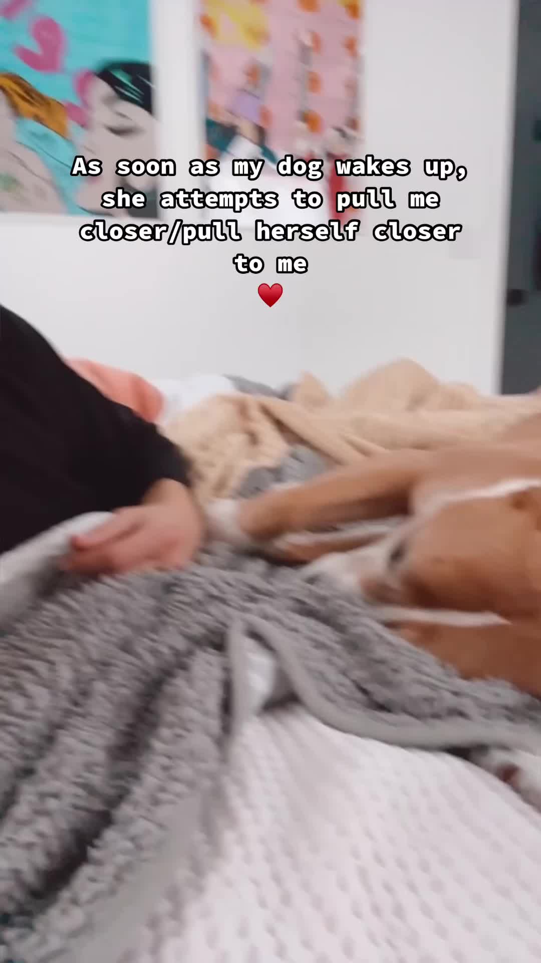 @LilyBug