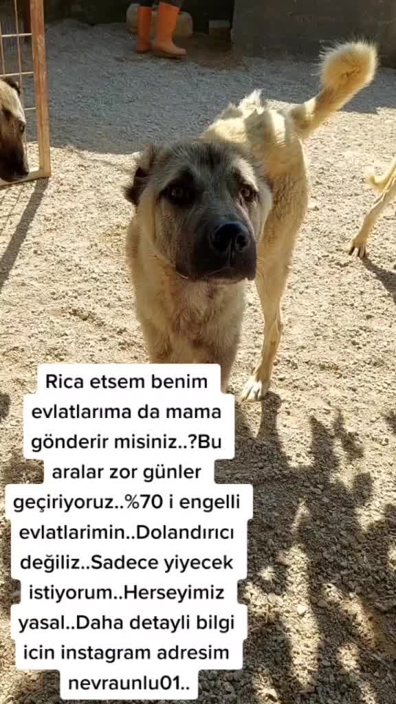 @Nevra Ünlü