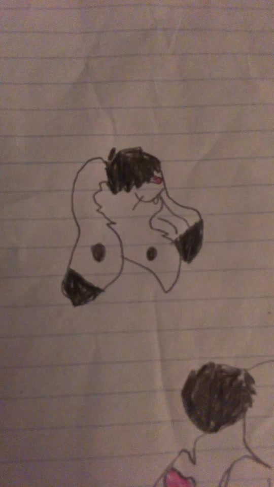 @gay.cat.furry