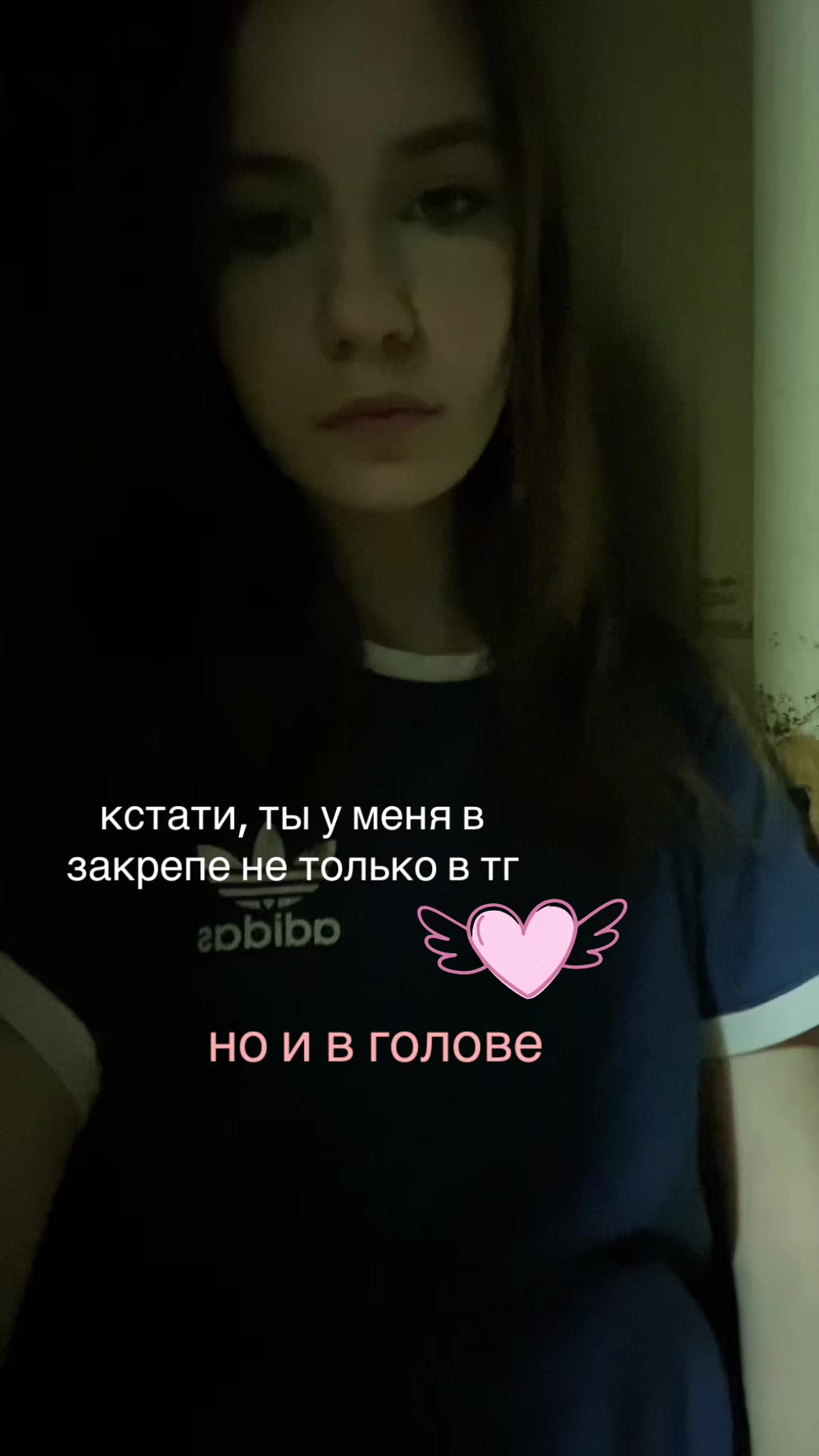 @триггерша 🦢
