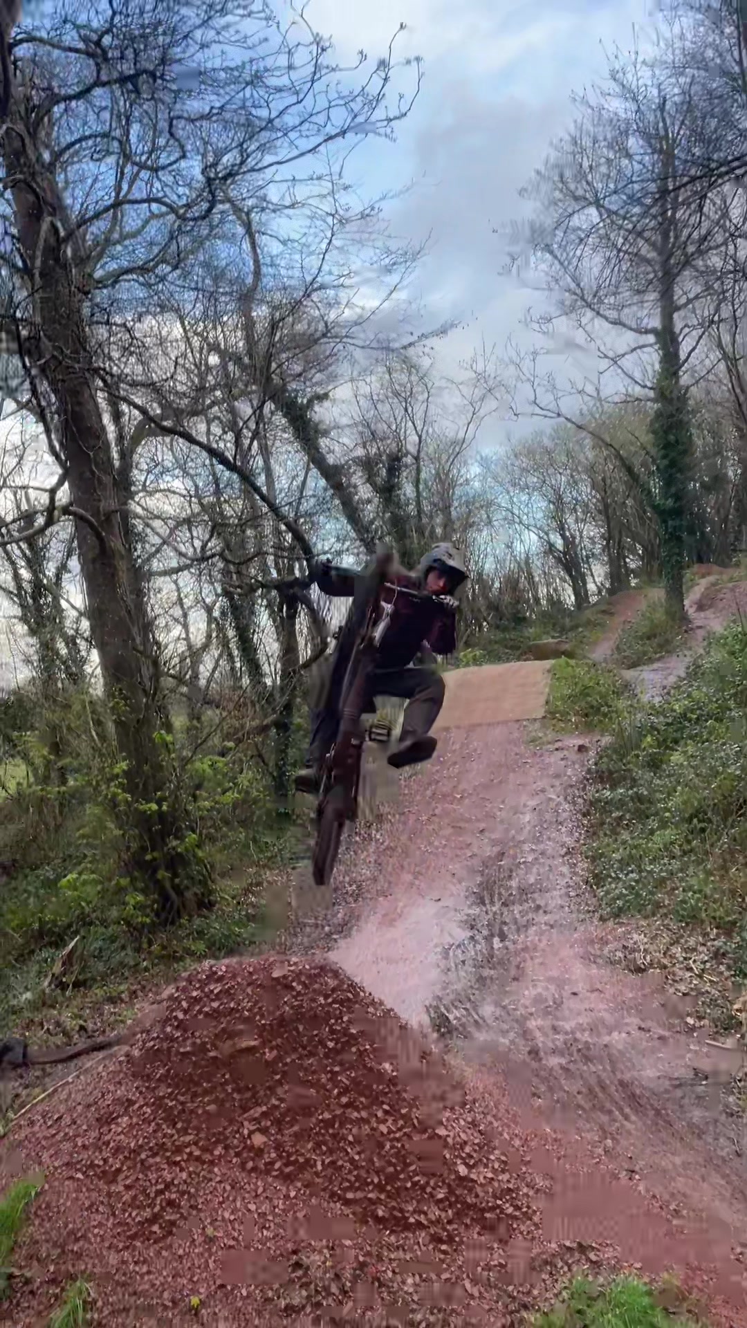 @tobyy🌲