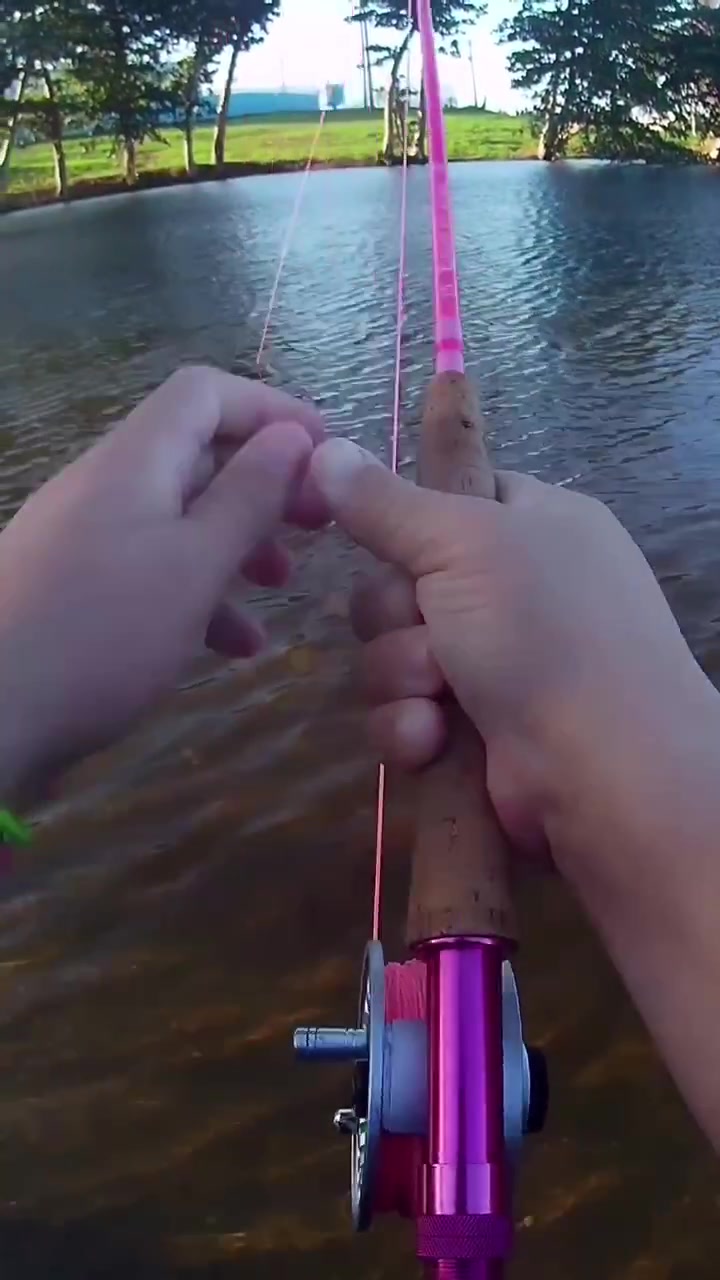 @Maxcatch Fishing Official