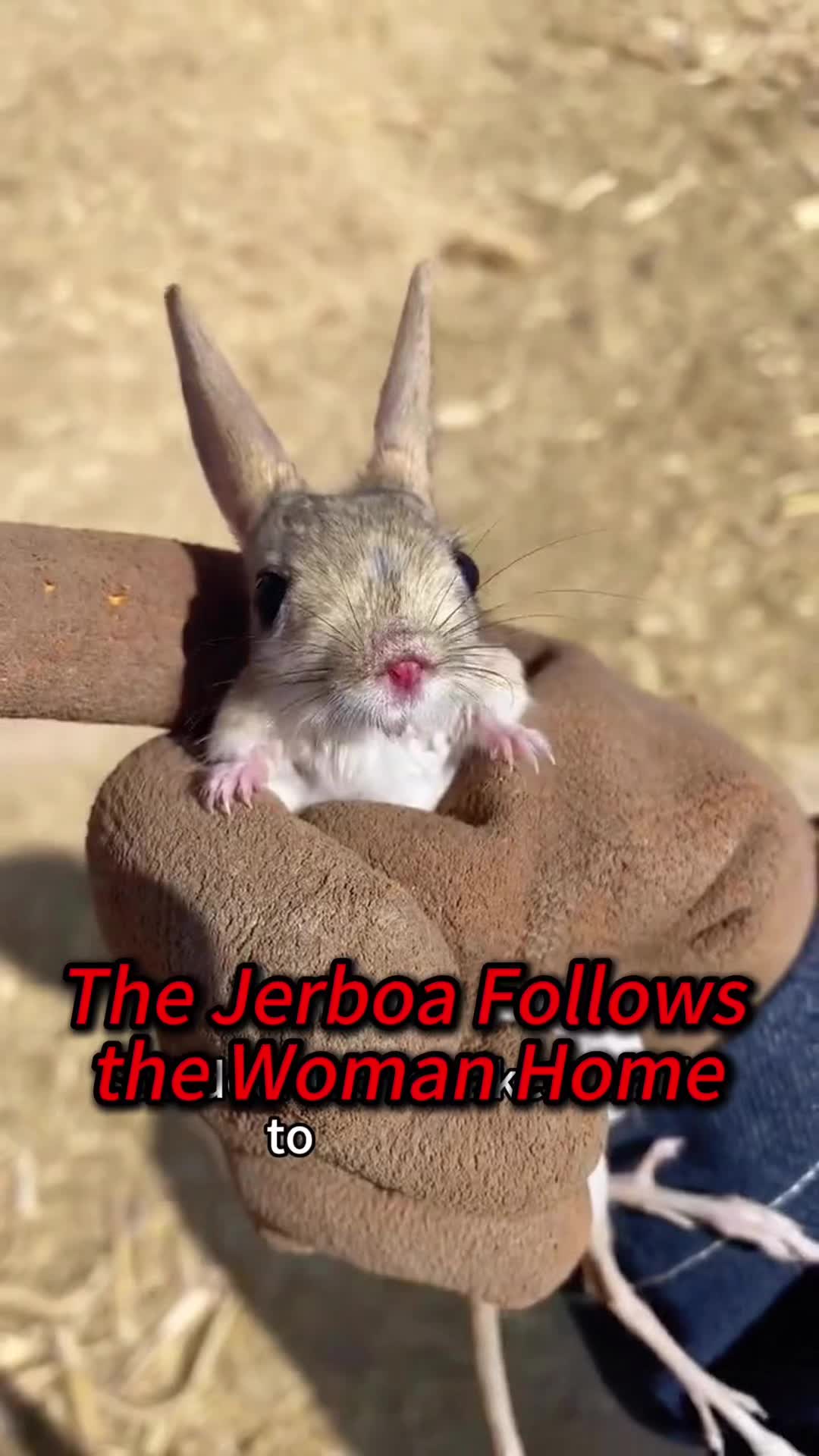 @Kiki_animals22