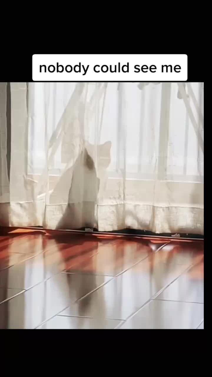 @user87357065893