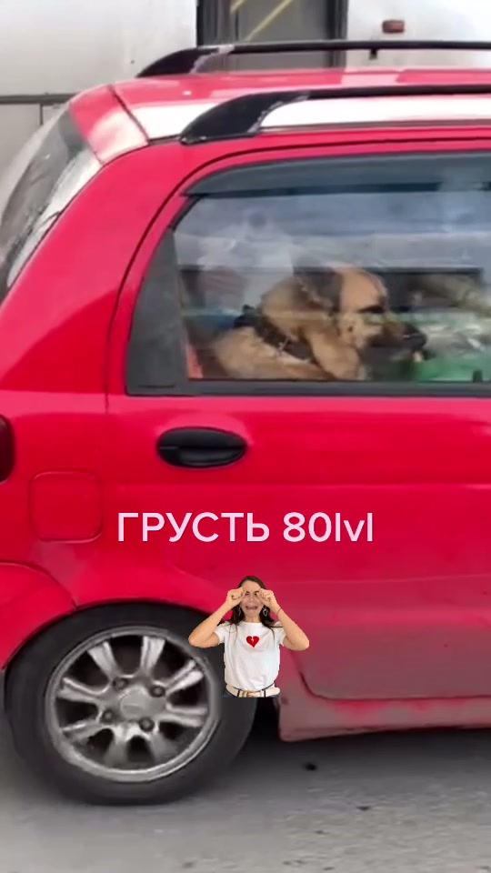 @Евгений Чумак