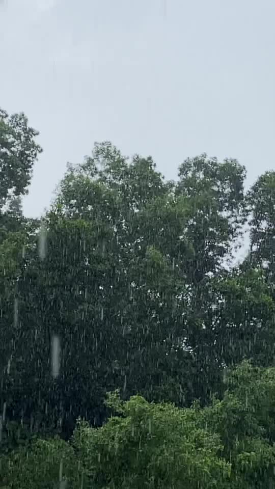@Pubalan Rajasekaran