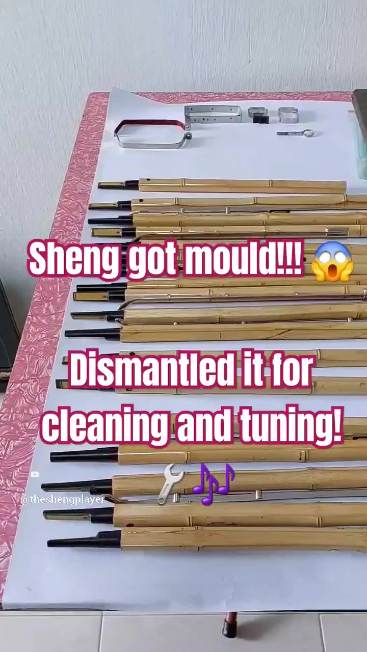 @The Sheng Player