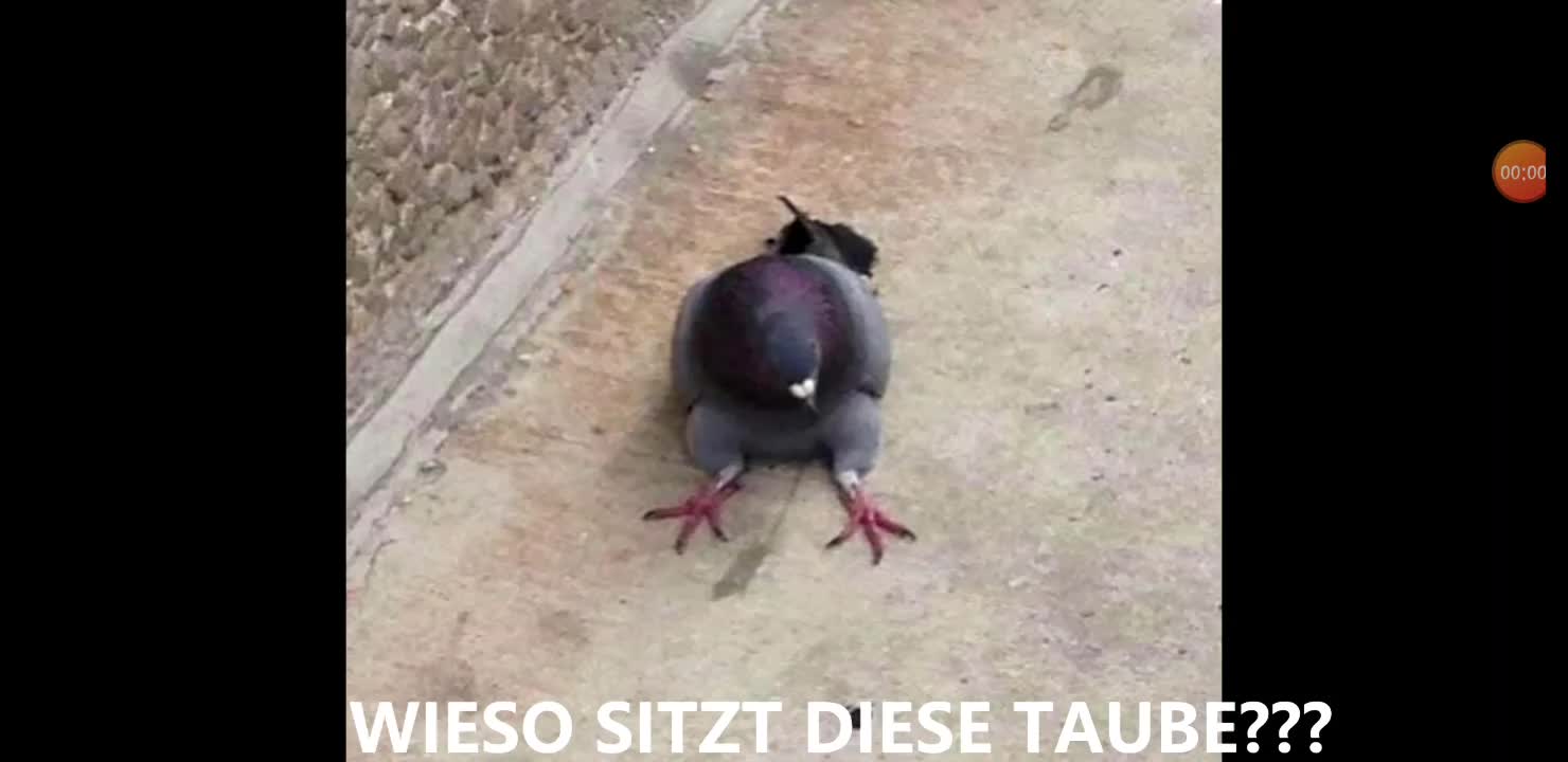 @woaaah