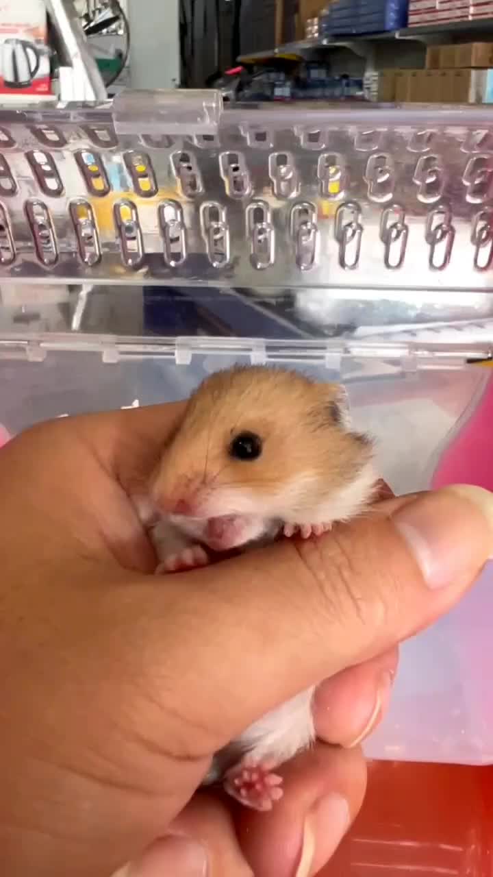 @๐ท๐ฐ๐ผ๐
๐
๐ด๐
