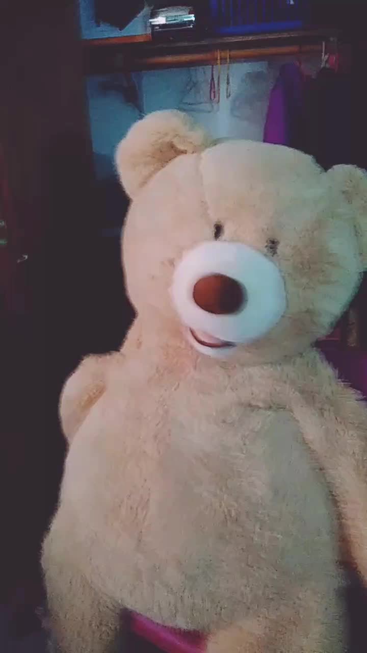 @teddytheeebear83