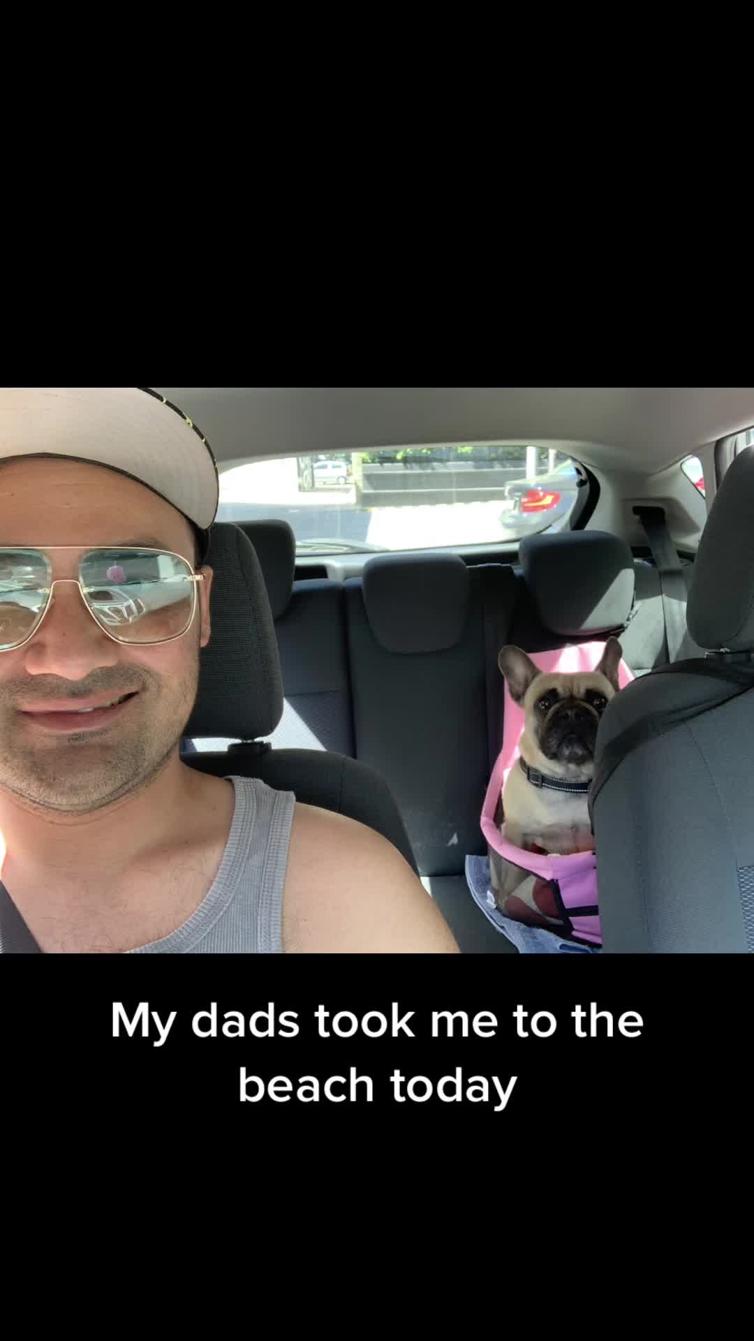 @Miss Lola the Frenchie