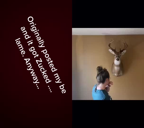 @Tomahawk Taxidermy