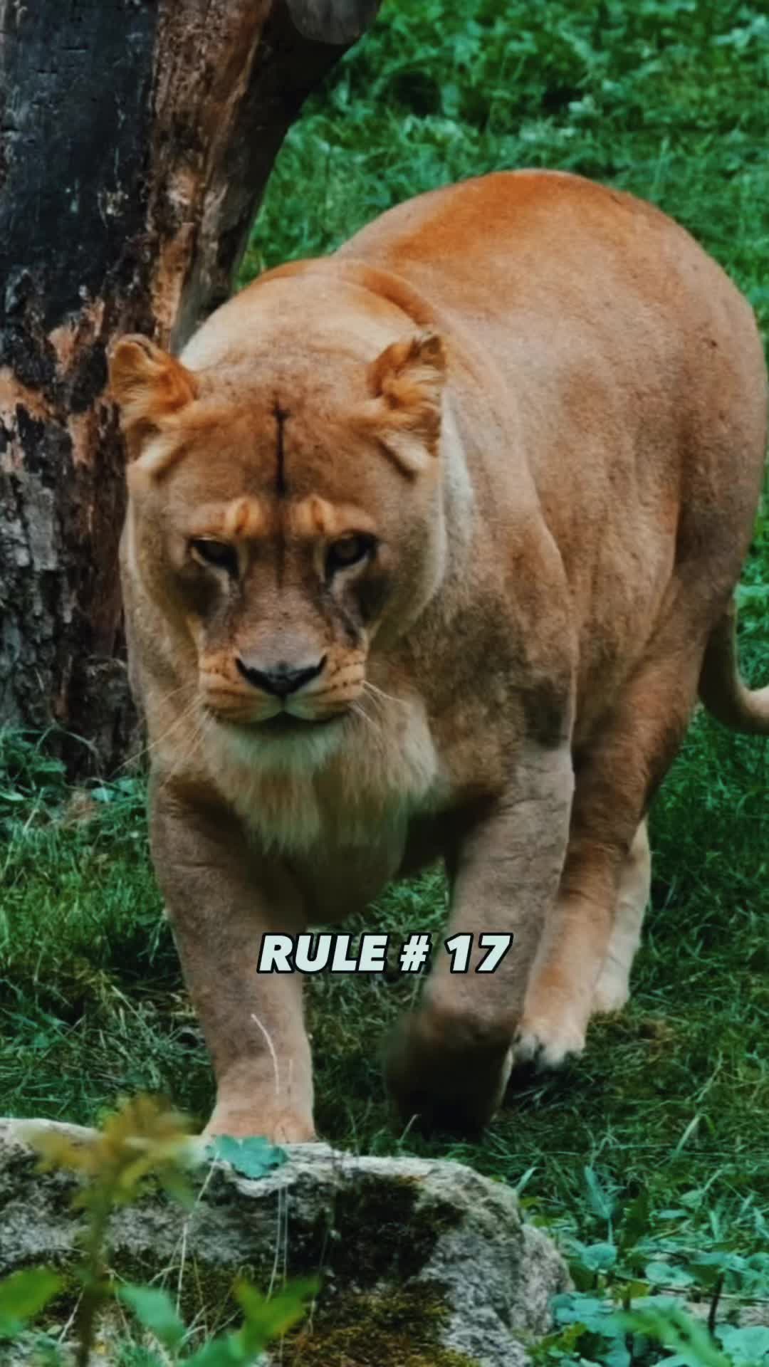 @HerculeanMotivation