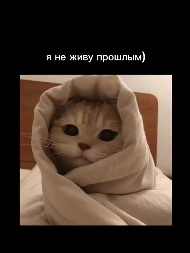 @❤