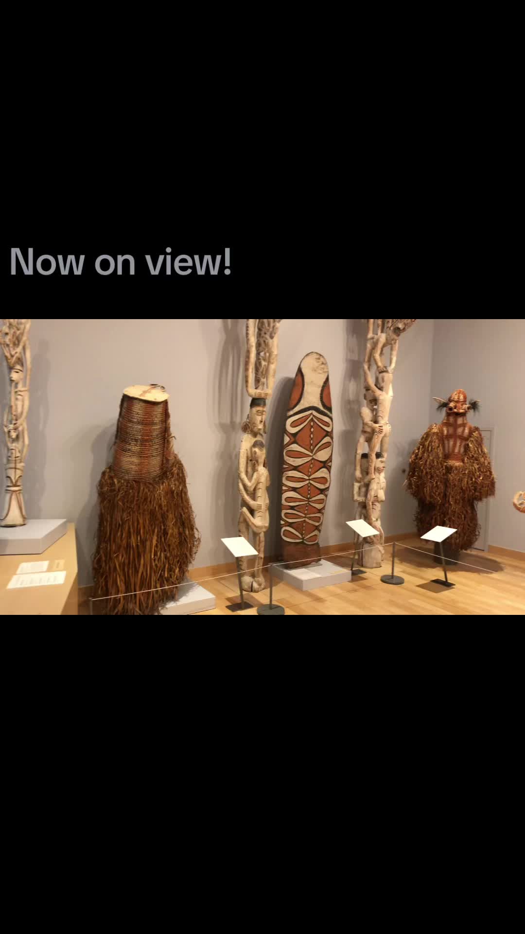 @American Museum of Asmat Art