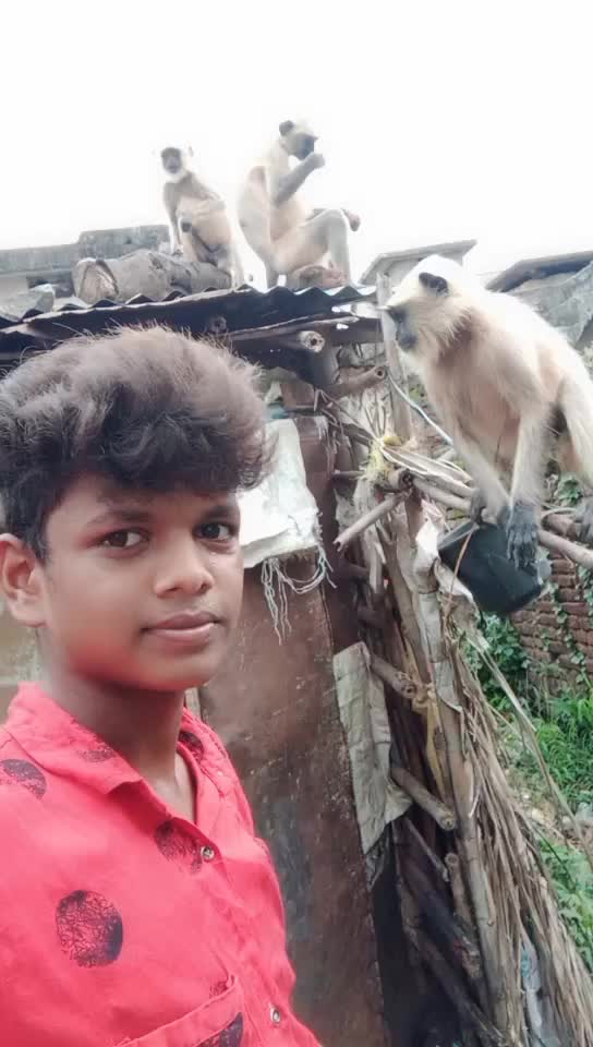 @Basant Kumar Sahu