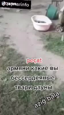 @lotfruit™