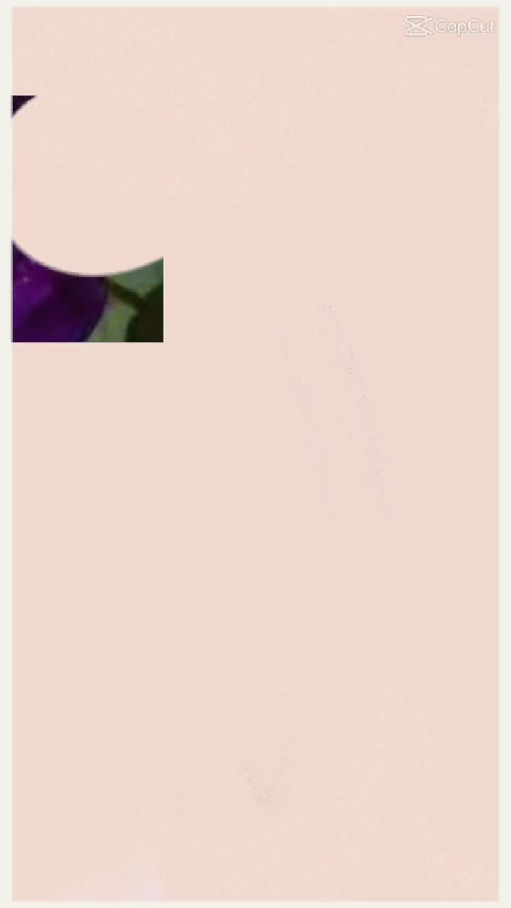 @🥀월77, 🥀🐈