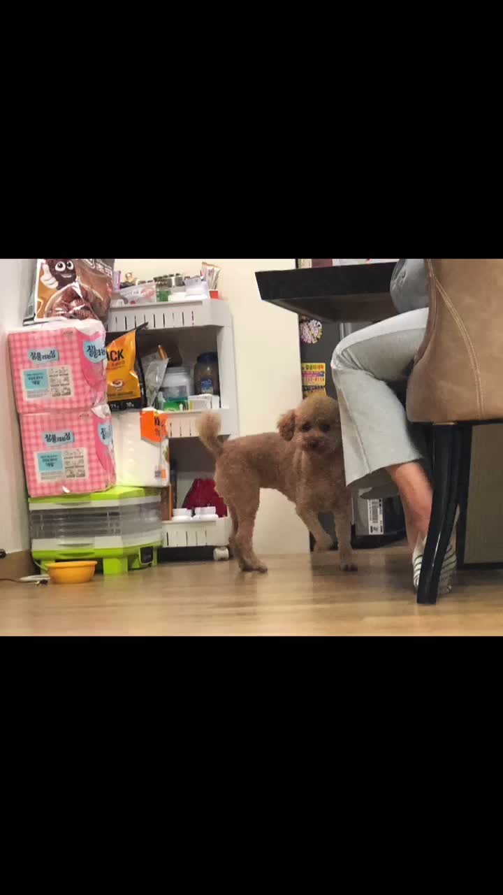 @강창현