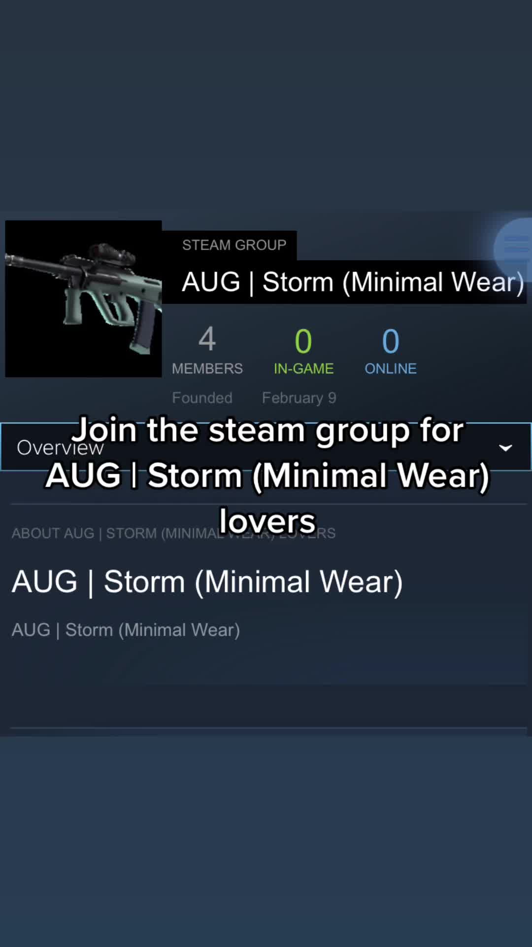@AUG | Storm (Minimal Wear)