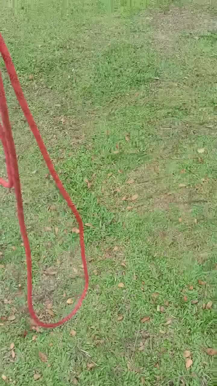 @mus
