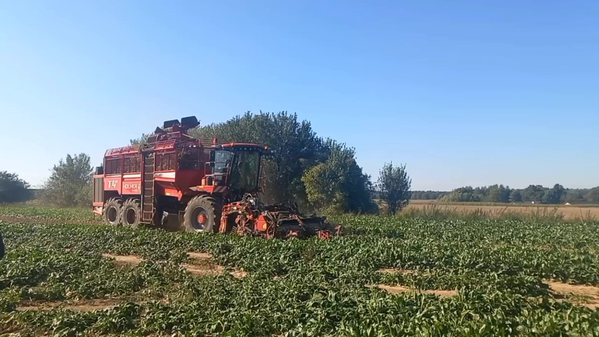 @Agro Szymon